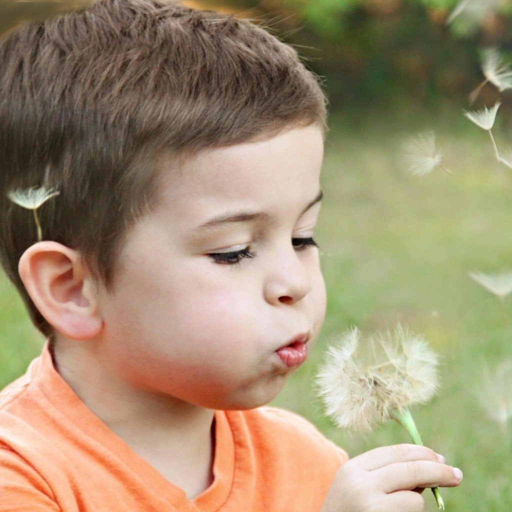 Un enfant souffle sur un pissenlit